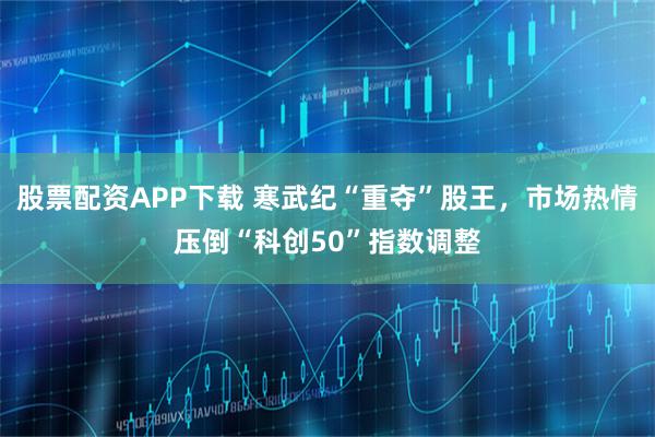 股票配资APP下载 寒武纪“重夺”股王，市场热情压倒“科创50”指数调整