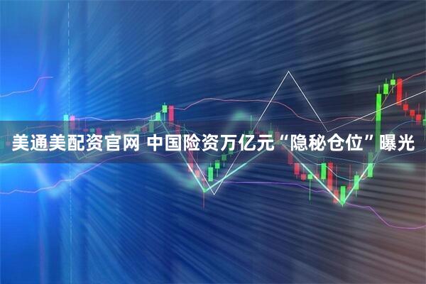 美通美配资官网 中国险资万亿元“隐秘仓位”曝光