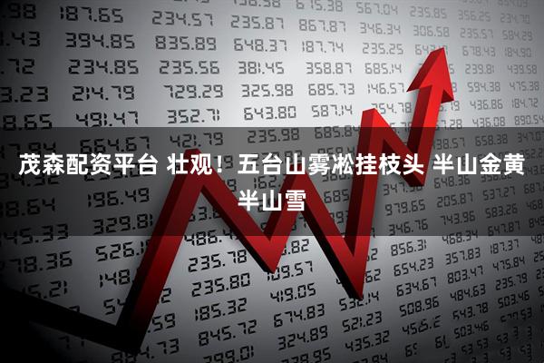 茂森配资平台 壮观！五台山雾凇挂枝头 半山金黄半山雪